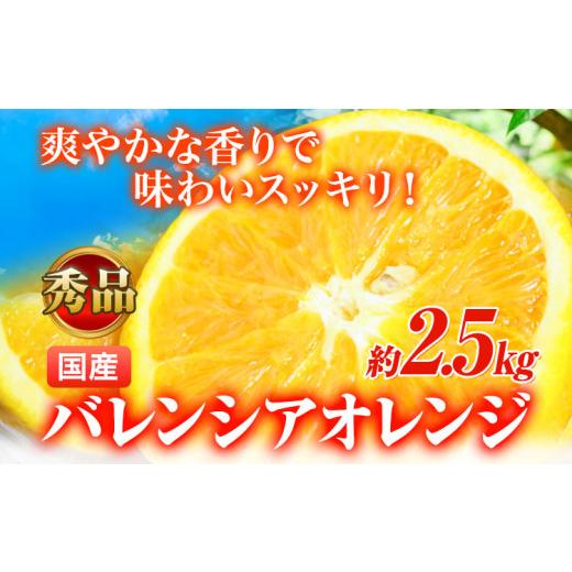 ふるさと納税 みかん・柑橘類 オレンジ 和歌山県 日高町 先行予約 秀品 希少な国産バレンシアオレンジ 2.5kg 株式会社 魚鶴商店[2026年6月下旬-7月上旬頃出…