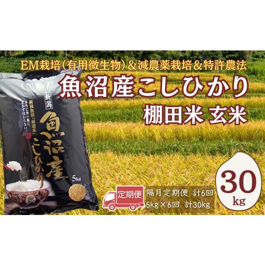 ふるさと納税 玄米 新潟県 小千谷市 令和7年産 農家直送の棚田米 魚沼産コシヒカリ 玄米 合計30kg 定期便 5kg×6回(隔月お届け) 佐藤農場 | 新潟県産 コシヒ…
