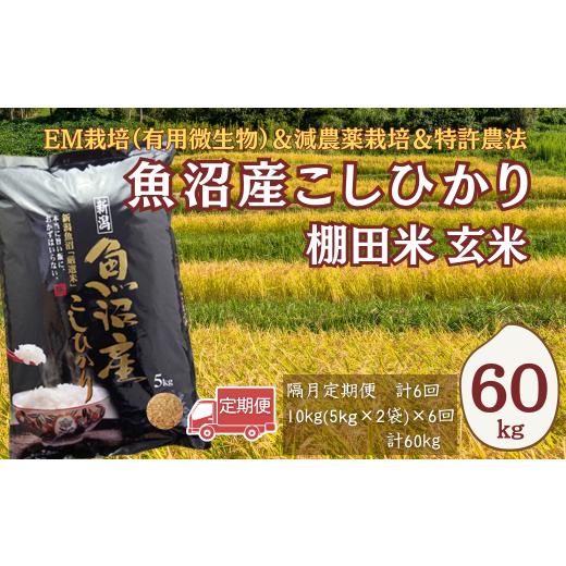 ふるさと納税 玄米 新潟県 小千谷市 令和7年産 農家直送の棚田米 魚沼産コシヒカリ 玄米 合計60kg 定期便 5kg2袋×6回(隔月お届け) 佐藤農場 | 新潟県産 コシ…