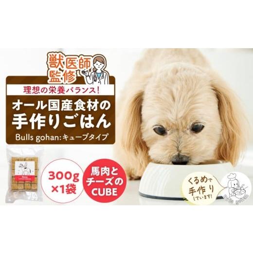 ふるさと納税 加工品等 福岡県 久留米市 ペットフード 無添加ドッグフード・ブルズごはんCUBEタイプ 300g×1袋(馬)_CUBE型 20個入×1袋 無添加ドッグフード 1…