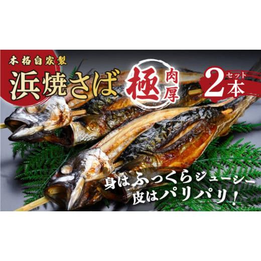 ふるさと納税 魚貝類 福井県 敦賀市 越前若狭名物 丸ごと浜焼きさば 2本入り 肉厚食べ応え抜群 数量限定 魚介類 鯖 焼き鯖 さば おつまみ 酒の肴 冷蔵 ご当地…