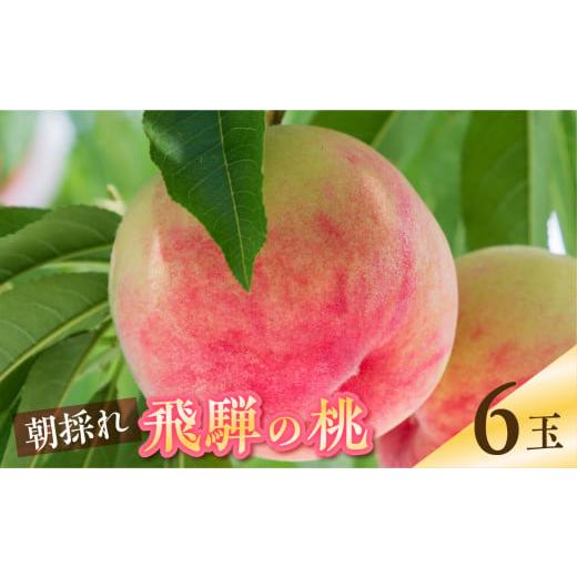 ふるさと納税 もも 岐阜県 飛騨市 2026年先行予約 朝採れ飛騨のこだわり桃 秀品 6玉 1.5キロ 黒内果樹園 桃 もも モモ 果物 フルーツ お取り寄せ 飛騨 高レビ…