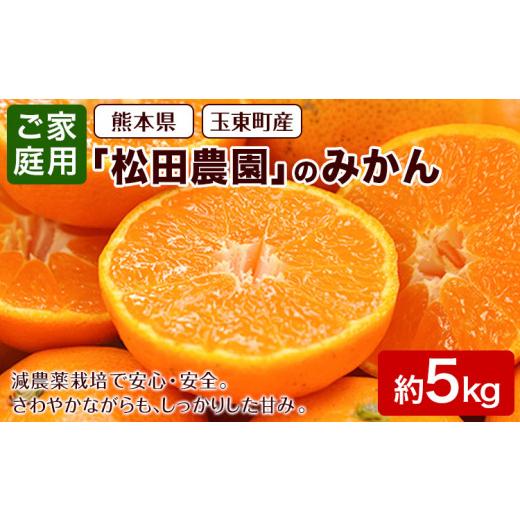 ふるさと納税 果物類 みかん 熊本県 玉東町 みかん ご家庭用『松田農園』ご家庭用みかん 約5kg(S-2Lサイズ) たっぷり 日付指定不可 予約受付中 フルーツ 秋 旬…