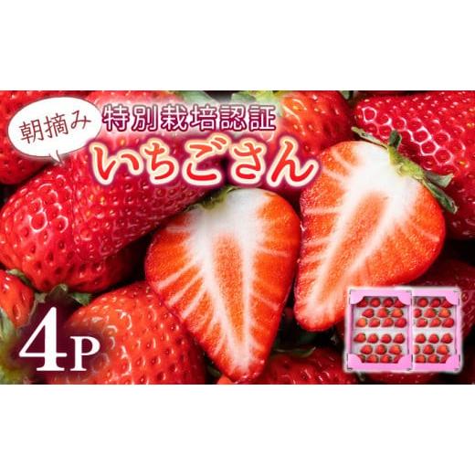 ふるさと納税 果物類 佐賀県 上峰町 先行予約 数量限定 佐賀県人気No.1苺"いちごさん" 約1kg(235g×4p) いちごさん 約1kg(235g×4p)