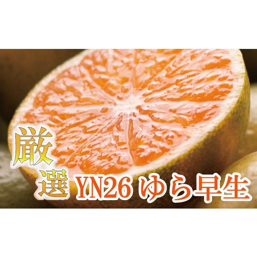 ふるさと納税 果物類 和歌山県 紀美野町 プレミアム 有田 みかん ( ゆら早生 ) 1kg+250g(傷み補償分) / 有田みかん 甘い 柑橘 フルーツ 果物 和歌山 2026年…