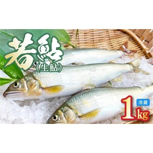 ふるさと納税 魚貝類 宮崎県 延岡市 先行予約 2026年7月上旬より発送開始 若鮎(生鮎)1kg 冷蔵 N070-YA3369_1