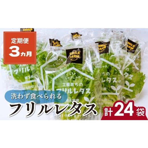 ふるさと納税 野菜類 埼玉県 東松山市 定期便3ヵ月 洗わず食べられる・室内水耕栽培 フリルレタス 8袋(80〜110g/袋)×3ヵ月 計24袋 | レタス 野菜 大容量 新…
