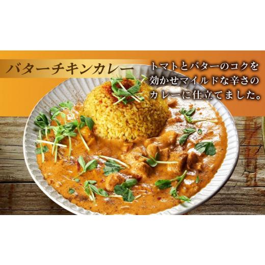 ふるさと納税 惣菜・レトルト 冷凍 長崎県 - スパイスカレー食べ比べセット6パック(バターチキンカレー／グリーンカレー／キノコとセロリのキーマカレー) 長崎…_5