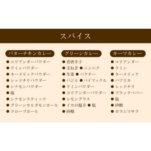 ふるさと納税 惣菜・レトルト 冷凍 長崎県 - スパイスカレー食べ比べセット6パック(バターチキンカレー／グリーンカレー／キノコとセロリのキーマカレー) 長崎…_7