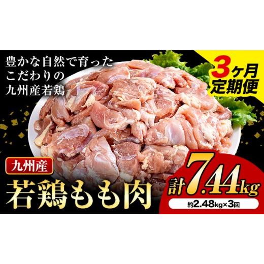 ふるさと納税 鶏肉 モモ 熊本県 菊池市 3ヶ月定期便 九州産若鶏もも肉 計7.44kg 310g×8袋 肉 お肉 鶏肉 若鶏 もも肉 唐揚げ てりやき チキンカレー 棒々鶏 …