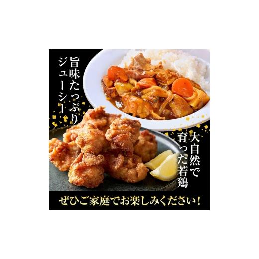 ふるさと納税 鶏肉 モモ 熊本県 菊池市  6ヶ月定期便 九州産若鶏もも肉 計14.88kg 約310g×8袋 肉 お肉 鶏肉 若鶏 もも肉 唐揚げ てりやき チキンカレー 棒々…の画像