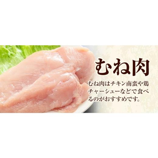 ふるさと納税 鶏肉 ムネ 熊本県 菊池市  6ヶ月定期便 九州産若鶏ムネ肉 600g×7袋×6回 計25.2kg 鶏肉 お肉 ムネ肉 むね肉 小分け 冷凍 九州産 国産 熊本県 菊…の画像