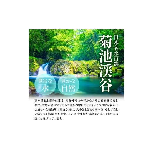 ふるさと納税 鶏肉 ムネ 熊本県 菊池市  6ヶ月定期便 九州産若鶏ムネ肉 600g×7袋×6回 計25.2kg 鶏肉 お肉 ムネ肉 むね肉 小分け 冷凍 九州産 国産 熊本県 菊…の画像