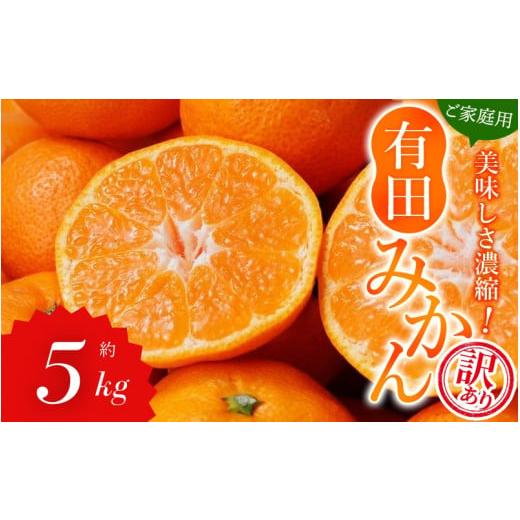 ふるさと納税 果物類 みかん 和歌山県 串本町 訳あり 農家直送 有田みかん 約5kg ご家庭用 サイズ混合 2025年11月中旬より順次発送予定(お届け日指定不可) …