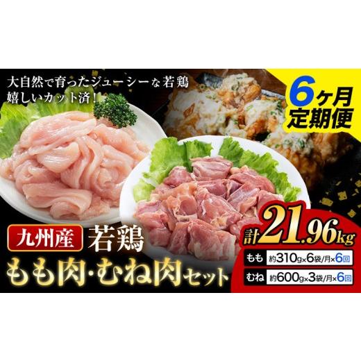ふるさと納税 鶏肉 モモ 熊本県 菊池市  6ヶ月定期便 九州産若鶏もも肉（310g×6袋）・むね肉（600g×3袋）セット 鶏肉 お肉 モモ肉 もも肉 ムネ肉 むね肉 2種…の画像