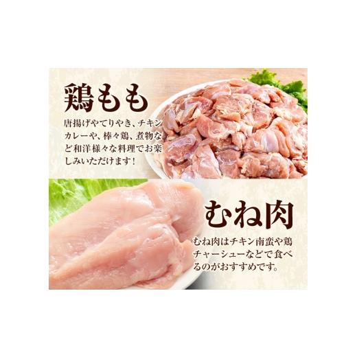 ふるさと納税 鶏肉 モモ 熊本県 菊池市  6ヶ月定期便 九州産若鶏もも肉（310g×6袋）・むね肉（600g×3袋）セット 鶏肉 お肉 モモ肉 もも肉 ムネ肉 むね肉 2種…の画像