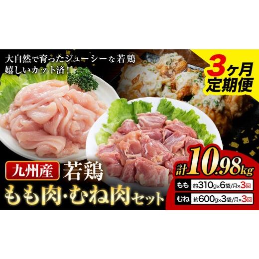 ふるさと納税 鶏肉 モモ 熊本県 菊池市 3ヶ月定期便 九州産若鶏もも肉(310g×6袋)・むね肉(600g×3袋)セット 鶏肉 お肉 モモ肉 もも肉 ムネ肉 むね肉 2種…