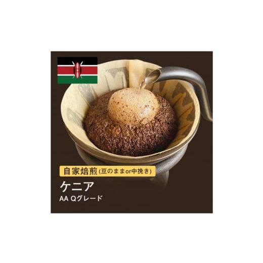 ふるさと納税 コーヒー コーヒー豆 大阪府 堺市 豆 #013 ケニア AA Qグレード コーヒー豆 310g 当日焙煎 大山珈琲 豆のまま