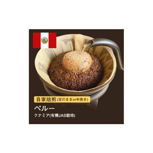ふるさと納税 コーヒー コーヒー粉 大阪府 堺市 粉 #030 ペルー クナミア コーヒー豆 310g 当日焙煎 大山珈琲 中挽き