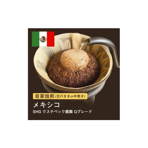 ふるさと納税 コーヒー コーヒー豆 大阪府 堺市 豆 #031 メキシコ SHG クステペック農園 Qグレード コーヒー豆 310g 当日焙煎 大山珈琲 豆のまま