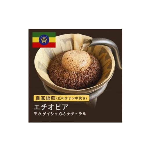 ふるさと納税 コーヒー コーヒー豆 大阪府 堺市 豆 #036 モカ ゲイシャ G-3 ナチュラル エチオピア コーヒー豆 310g 当日焙煎 大山珈琲 豆のまま