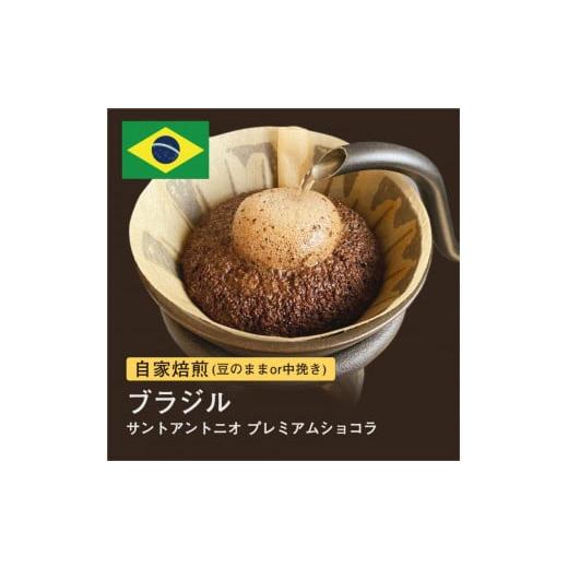 ふるさと納税 コーヒー コーヒー豆 大阪府 堺市 豆 #074 ブラジル サントアントニオ プレミアムショコラ コーヒー豆 310g 当日焙煎 大山珈琲 豆のまま