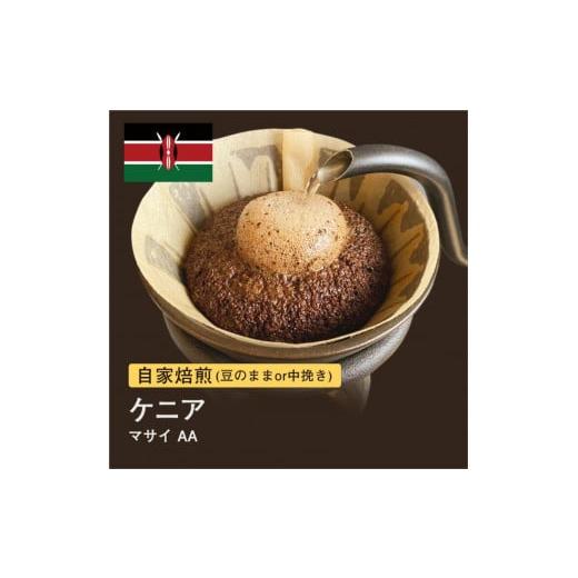 ふるさと納税 コーヒー コーヒー豆 大阪府 堺市 豆 #088 ケニア マサイ AA コーヒー豆 310g 当日焙煎 大山珈琲 豆のまま