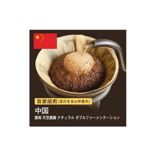 ふるさと納税 コーヒー コーヒー豆 大阪府 堺市 豆 #115 雲南 天空農園 ナチュラル ダブルファーメンテーション コーヒー豆 310g 当日焙煎 大山珈琲 豆のまま