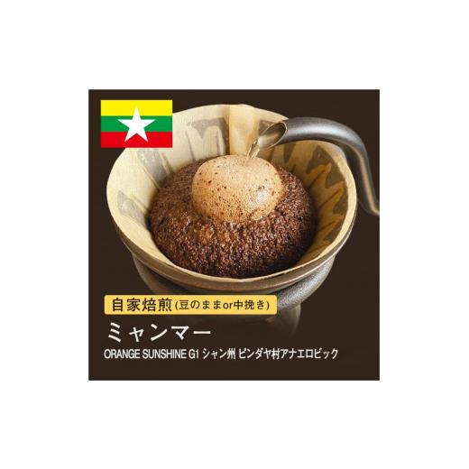 ふるさと納税 コーヒー コーヒー豆 大阪府 堺市 豆 #180 ミャンマー ORANGE SUNSHINEG1 コーヒー豆 310g 当日焙煎 大山珈琲 豆