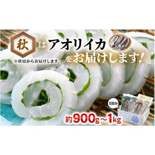 ふるさと納税 イカ 福井県 美浜町 おまかせ定期便 《12ヶ月連続お届け》 計約12kg イカ 三昧 その時期の一番良いイカをお届けします 急速冷凍 活〆 刺身 ヤリ…_5