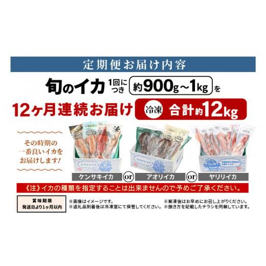 ふるさと納税 イカ 福井県 美浜町 おまかせ定期便 《12ヶ月連続お届け》 計約12kg イカ 三昧 その時期の一番良いイカをお届けします 急速冷凍 活〆 刺身 ヤリ…_9