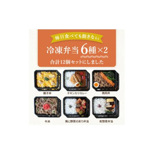 ふるさと納税 惣菜・レトルト 冷凍 石川県 白山市 冷凍弁当6種×2食　12食入 1514703_2
