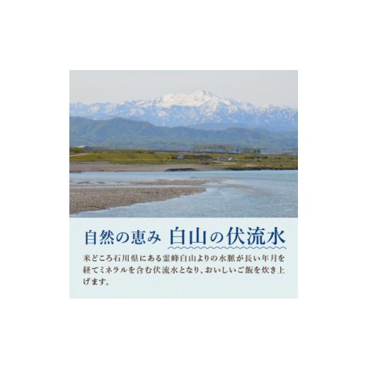 ふるさと納税 惣菜・レトルト 冷凍 石川県 白山市 冷凍弁当6種×2食　12食入 1514703_4