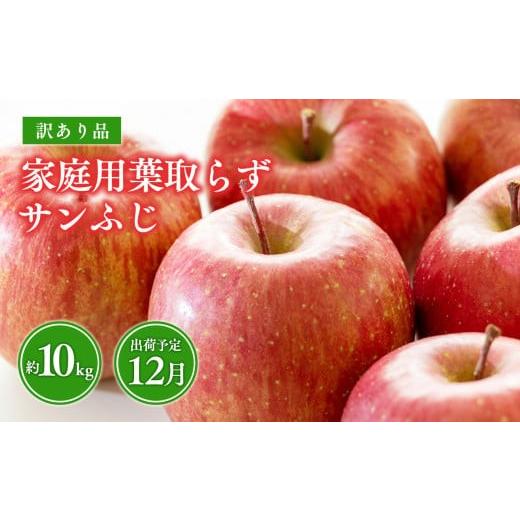 ふるさと納税 りんご 青森県 平川市 12月 葉取らずサンふじりんご 約10kg訳あり 家庭用 青森県 平川市 森山商店 12月発送