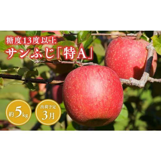 ふるさと納税 りんご 青森県 平川市 3月 サンふじ約5kg 糖度13度以上(14〜20玉程度) 青森県 平川市 森山商店 青森りんご 林檎 リンゴ りんご サンふじ ふじ …