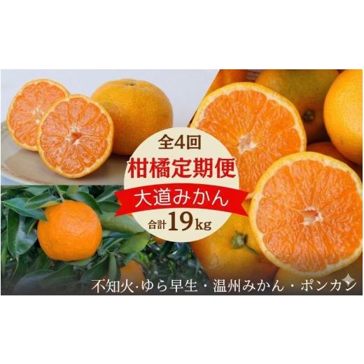 ふるさと納税 果物類 みかん 和歌山県 田辺市 2026年分先行予約・数量限定 和歌山の柑橘3回定期便(王道みかん)合計19kg 期間限定・9/30まで受付 / みかん…
