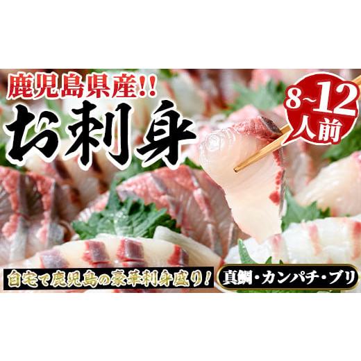 ふるさと納税 魚貝類 鯛 鹿児島県 阿久根市 厳選お刺身BOX(8〜12人前) 国産 お刺身 魚貝 魚介 鯛 カンパチ ブリ 海産物 刺身 おつまみ セット さるがく水産 ak…