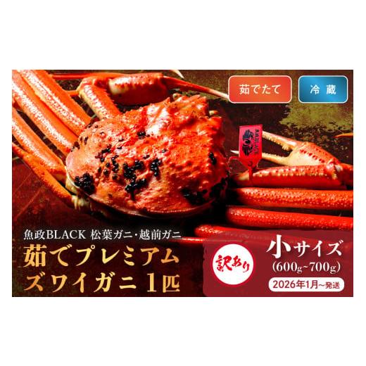 ふるさと納税 カニ 松葉ガニ 京都府 京丹後市 2026年1月〜発送 平日着>訳あり 蟹の匠 魚政 茹で プレミアムズワイガニ 魚政BLACK(松葉ガニ・越前ガニ) …