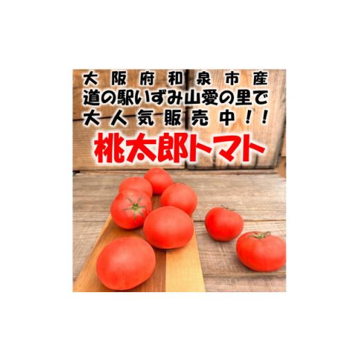 ふるさと納税 野菜類 トマト 大阪府 和泉市 桃太郎トマト 約2kg(10〜12玉) 大阪府 和泉市 道の駅いずみ山愛の里 1525134