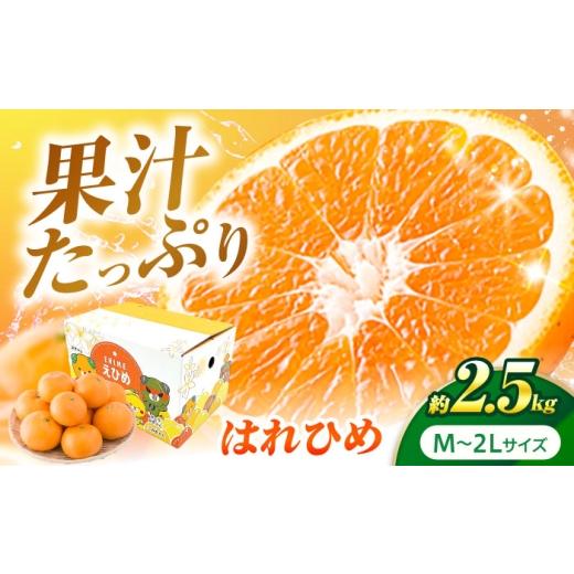 ふるさと納税 果物類 みかん 愛媛県 砥部町 はれひめ 約2.5kg M-2Lサイズ 12月上旬から翌年1月上旬まで順次発送 / フルーツ 果物 蜜柑 ミカン オレンジ 甘い …
