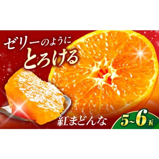 ふるさと納税 みかん・柑橘類 オレンジ 愛媛県 砥部町 紅まどんな 1箱(5-6個入り) 11月中旬から12月下旬まで順次発送 / フルーツ 果物 蜜柑 ミカン オレンジ …