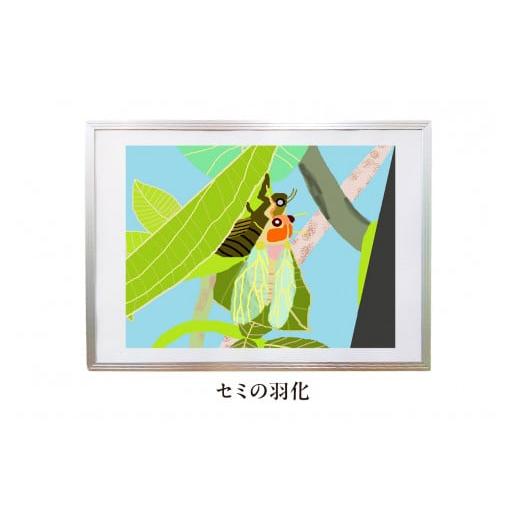 ふるさと納税 雑貨・日用品 絵画 千葉県 南房総市 オリジナルデジタルイラスト(額入り)『セミの羽化』 mi0105-0001-12 セミの羽化