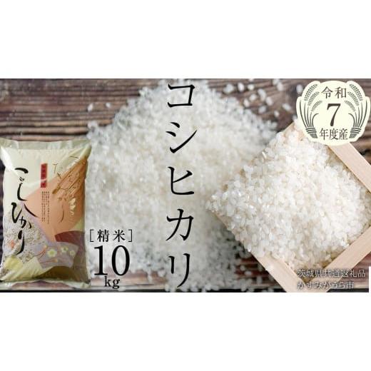 ふるさと納税 米 コシヒカリ 茨城県 桜川市 令和7年産 コシヒカリ 精米 10kg ( 10kg × 1袋 ) (茨城県共通返礼品 かすみがうら市産) 新米 米 ごはん もっちり…