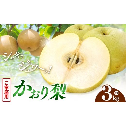 ふるさと納税 梨 大分県 中津市 先行予約 ご家庭用 西江豊水園のかおり梨 3kg 数量限定 | 旬の甘い完熟梨 梨 なし 新鮮 産地直送 果物 くだもの フルーツ 大…