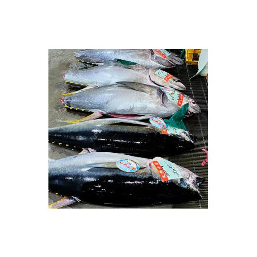 ふるさと納税 マグロ 高知県 土佐市 マグロのネギトロ 約400g 約3~4人前 薬味・醤油付き まぐろ 鮪 ねぎとろ 魚介 海鮮 海鮮丼 お寿司 おかず さかなの森澤　…_2