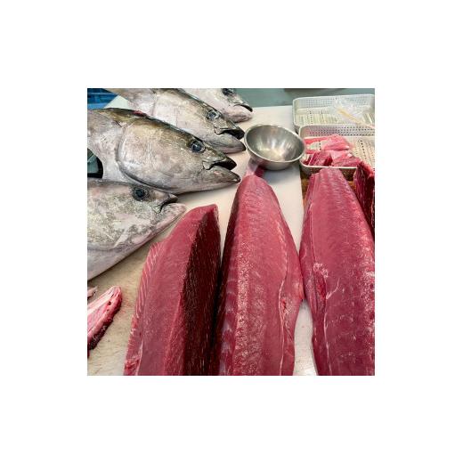 ふるさと納税 マグロ 高知県 土佐市 マグロのネギトロ 約400g 約3~4人前 薬味・醤油付き まぐろ 鮪 ねぎとろ 魚介 海鮮 海鮮丼 お寿司 おかず さかなの森澤　…_3