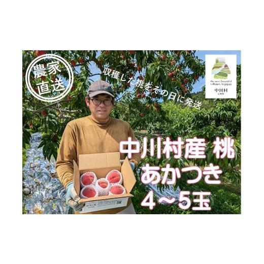 ふるさと納税 もも 長野県 中川村 農家直送 於利屋荒井農園の桃(あかつき)約1.5Kg