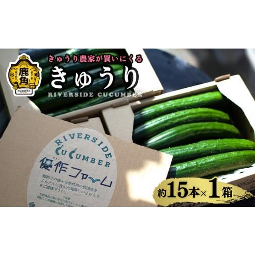 ふるさと納税 野菜類 秋田県 鹿角市 [ 先行予約 ]令和8年産 野菜ソムリエサミット 銀賞 2年連続 受賞 リバーサイド きゅうり 1箱 約15本入り 優作ファーム …