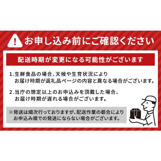 ふるさと納税 雑貨・日用品 キャラクター 北海道 - 北海道観光PR