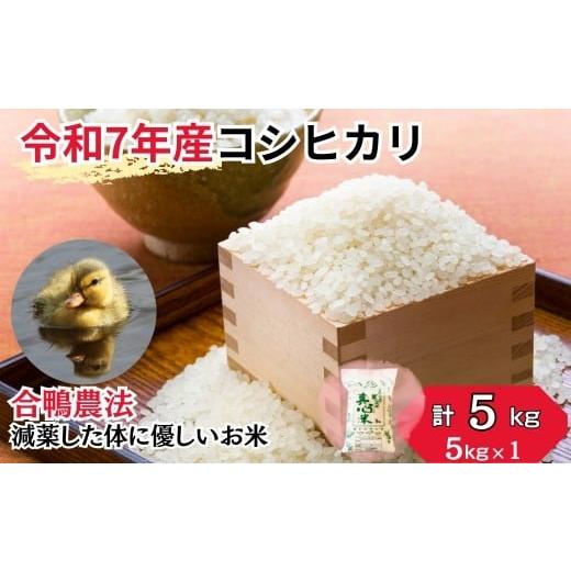 ふるさと納税 米 コシヒカリ 埼玉県 久喜市 令和7年産 アイガモ栽培 コシヒカリ 5kg (5kg×1袋) | 新米 お米 米 アイガモ栽培 アイガモ農法 こしひかり コ…
